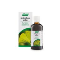 Ginkgoforce (Geriaforce), 100 ml