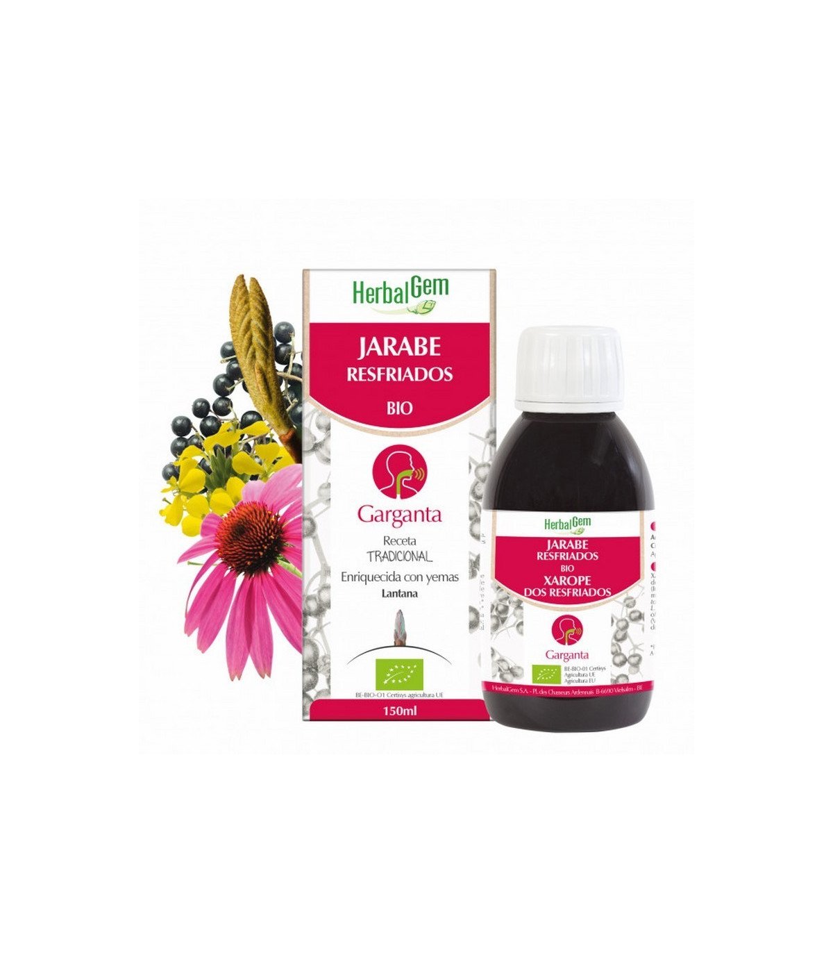 Alivia la irritación de garganta con el jarabe Herbalgem Bio con Equinacea. Su fórmula natural y sabor agradable perfecto para los resfriados.