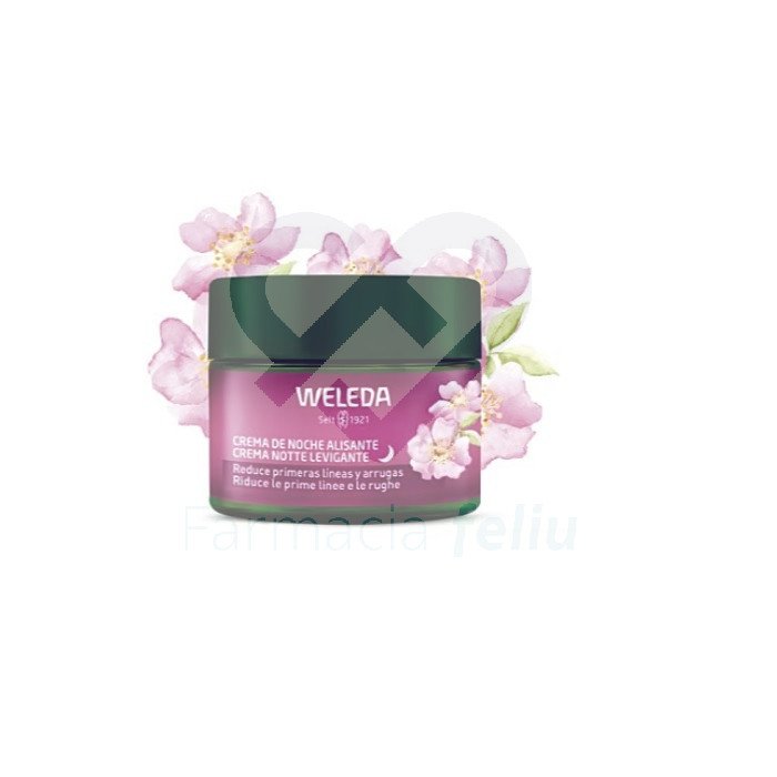 Weleda Crema de Noche Alisante Rosa Mosqueta y Té Blanco Bio 40 ml Fórmula regeneradora que repara la piel durante la noche. Reduce las primeras arrugas y relaja los rasgos faciales.