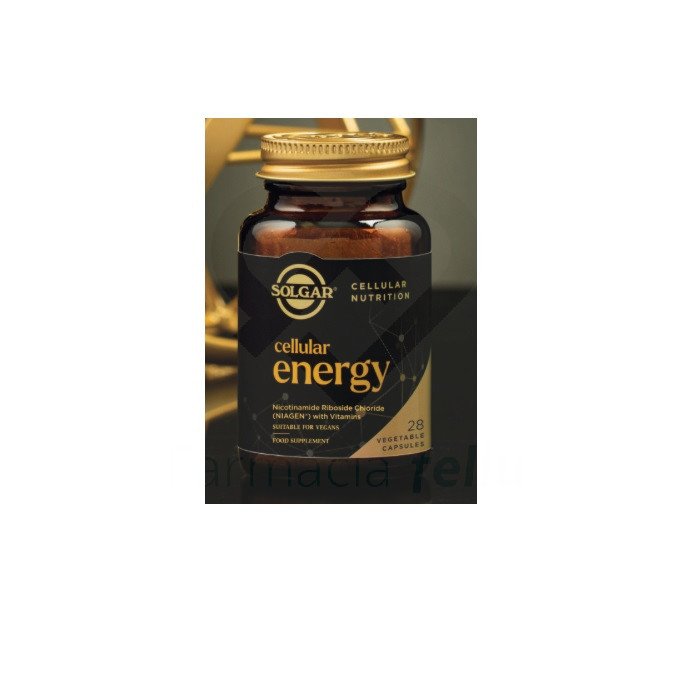 Solgar presenta su nueva incorporación a la plataforma de Envejecimiento Saludable: Cellular Energy. Esta fórmula avanzada contiene Niagen®, una forma patentada y científicamente estudiada de vitamina B3 conocida como Ribósido de Nicotinamida (NR). Además, esta fórmula también contiene vitamina C y otras vitaminas del complejo B para apoyar la vitalidad diaria.